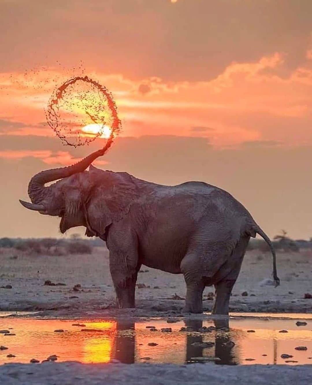 East African Adventures